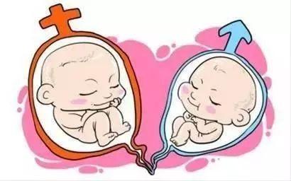 妇科专家